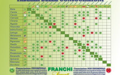 Tabella delle consociazioni e delle rotazioni